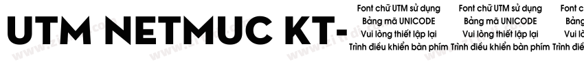 UTM Netmuc KT字体转换